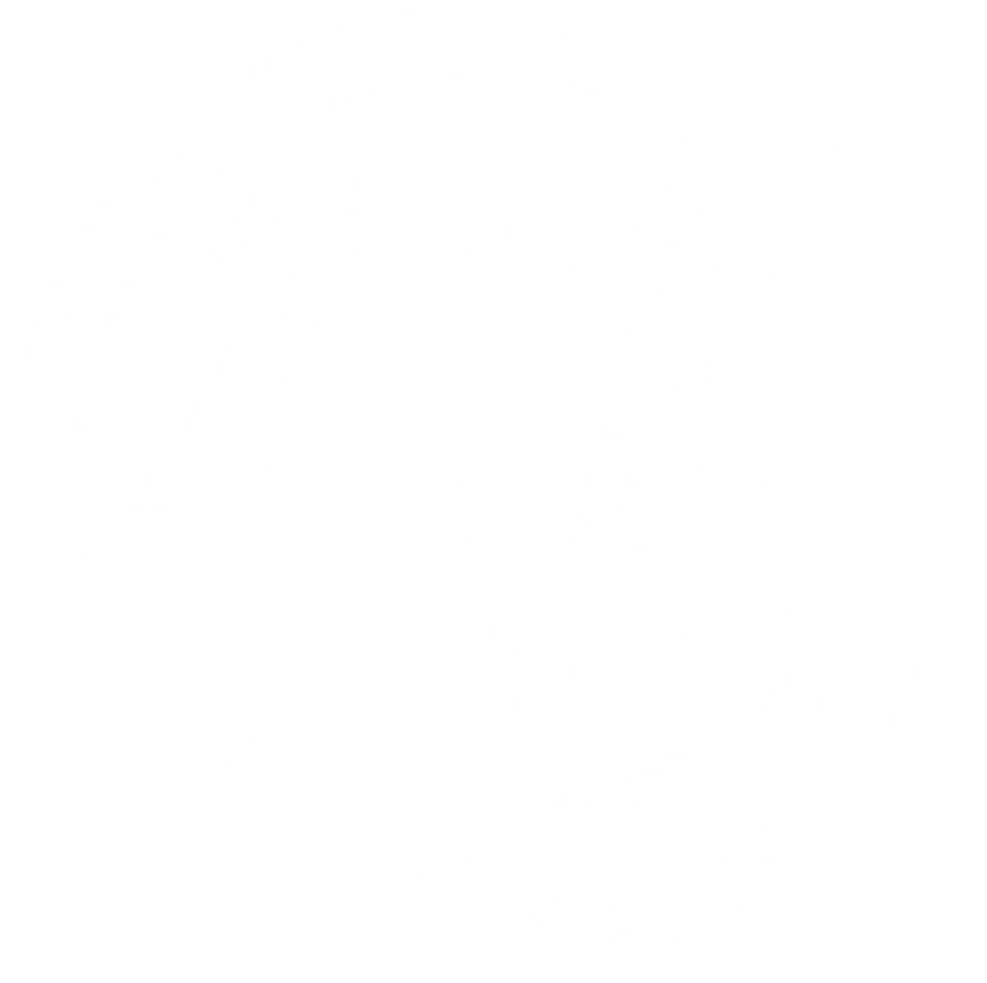 Flow Sparring Logo
